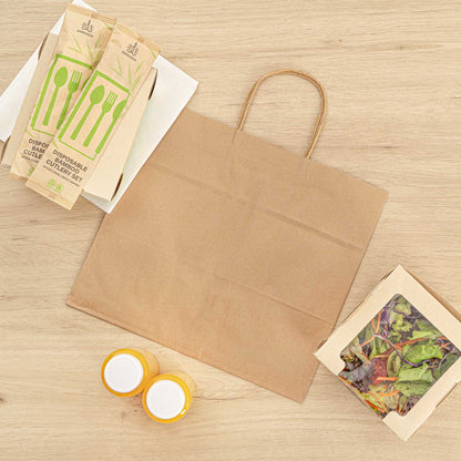 Saving Nature Kraft Paper Retail Bag - with Handles - 12 1/2" x 8 1/4" x 11 1/4" - 100 count box