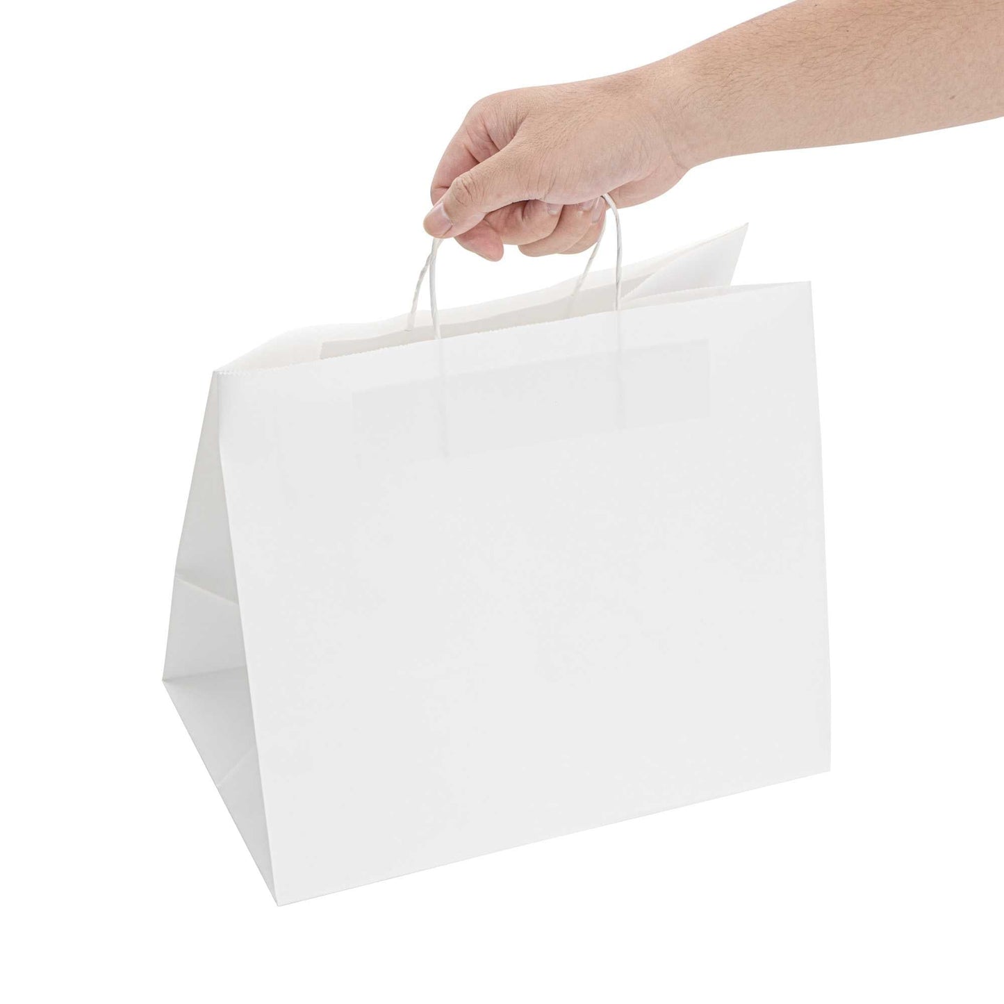 Saving Nature White Paper Retail Bag - with Handles - 12 1/2" x 8 1/4" x 11 1/4" - 100 count box