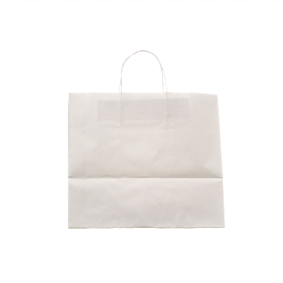 Saving Nature White Paper Retail Bag - with Handles - 12 1/2" x 8 1/4" x 11 1/4" - 100 count box