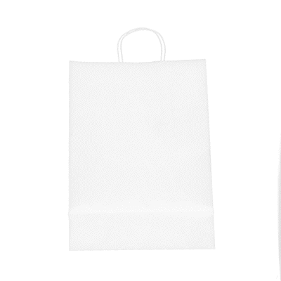 Saving Nature White Paper Retail Bag - with Handles - 12 1/2" x 6 1/4" x 17" - 100 count box