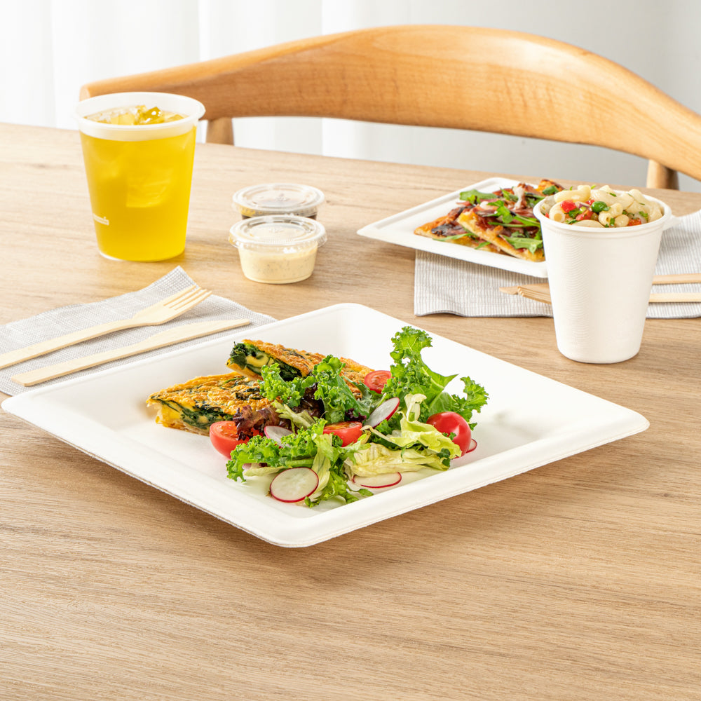 Pulp Safe No PFAS Added Square White Sugarcane / Bagasse Large Plate - Home Compostable - 10 1/4" x 10 1/4" x 1/2" - 100 count box