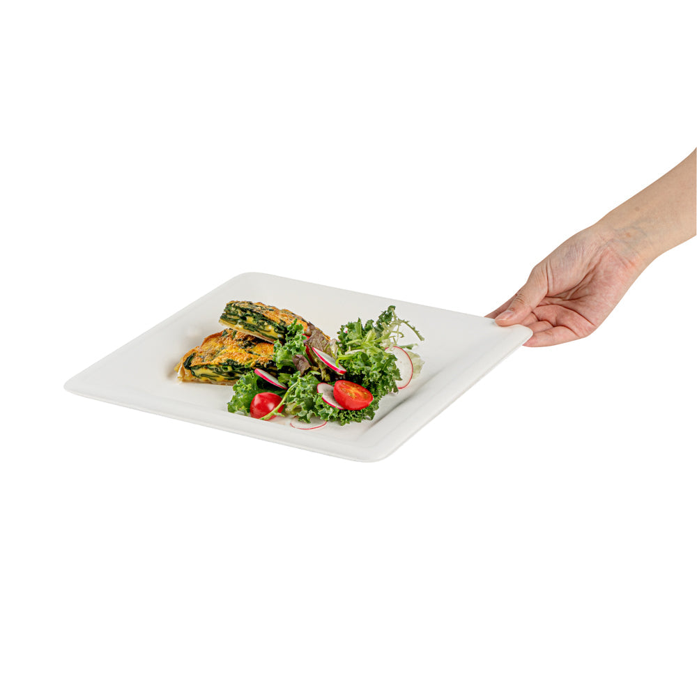 Pulp Safe No PFAS Added Square White Sugarcane / Bagasse Large Plate - Home Compostable - 10 1/4" x 10 1/4" x 1/2" - 100 count box