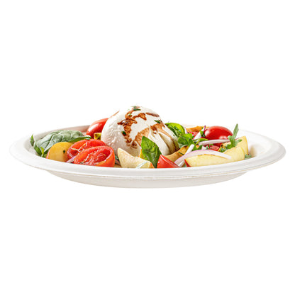 Pulp Safe No PFAS Added Round White Sugarcane / Bagasse Large Plate - Home Compostable - 10 1/4" x 10 1/4" x 3/4" - 100 count box