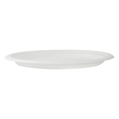 Pulp Safe No PFAS Added Round White Sugarcane / Bagasse Large Plate - Home Compostable - 10 1/4" x 10 1/4" x 3/4" - 100 count box