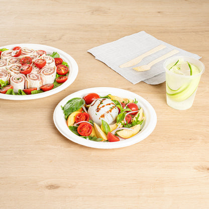 Pulp Safe No PFAS Added Round White Sugarcane / Bagasse Large Plate - Home Compostable - 10 1/4" x 10 1/4" x 3/4" - 100 count box