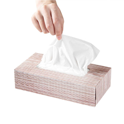 Clean Tek Professional 100 Sheet Facial Tissue Box - 2-Ply - 30 count box