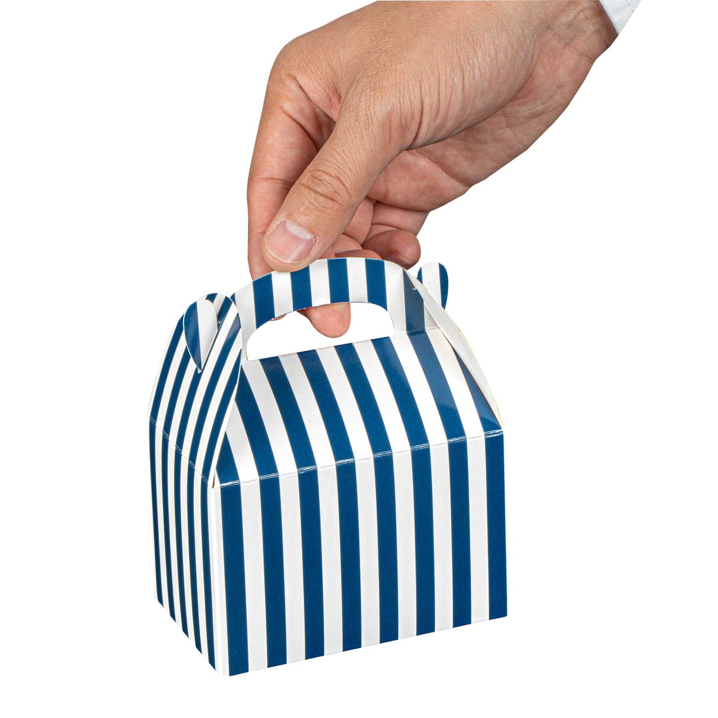 Bio Tek Blue & White Stripe Paper Gable Box / Take Out Container - Compostable - 4" x 2 1/2" x 2 1/2" - 25 count box