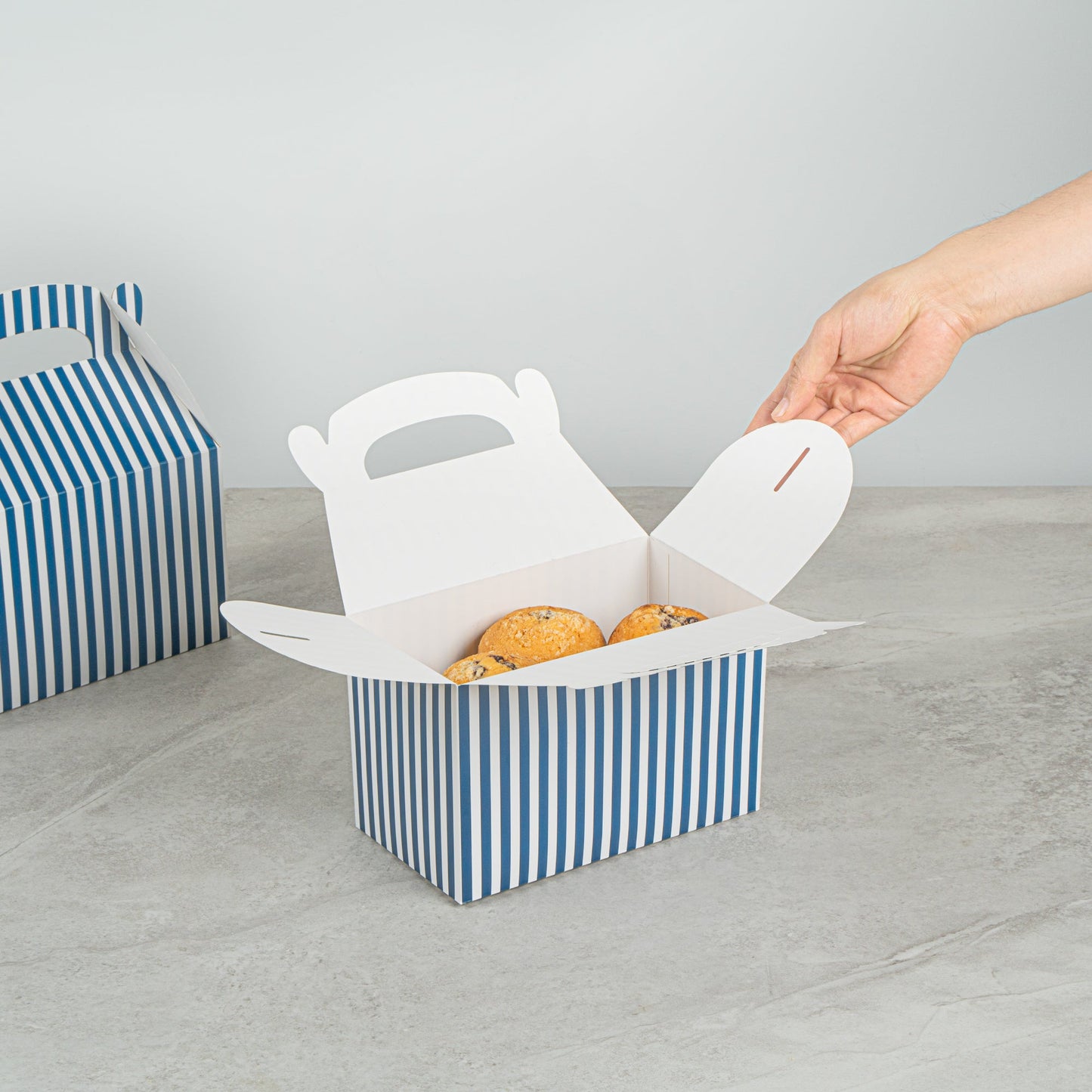 Bio Tek Blue & White Stripe Paper Gable Box / Take Out Container - Compostable - 8 1/2" x 4 3/4" x 5 1/2" - 100 count box