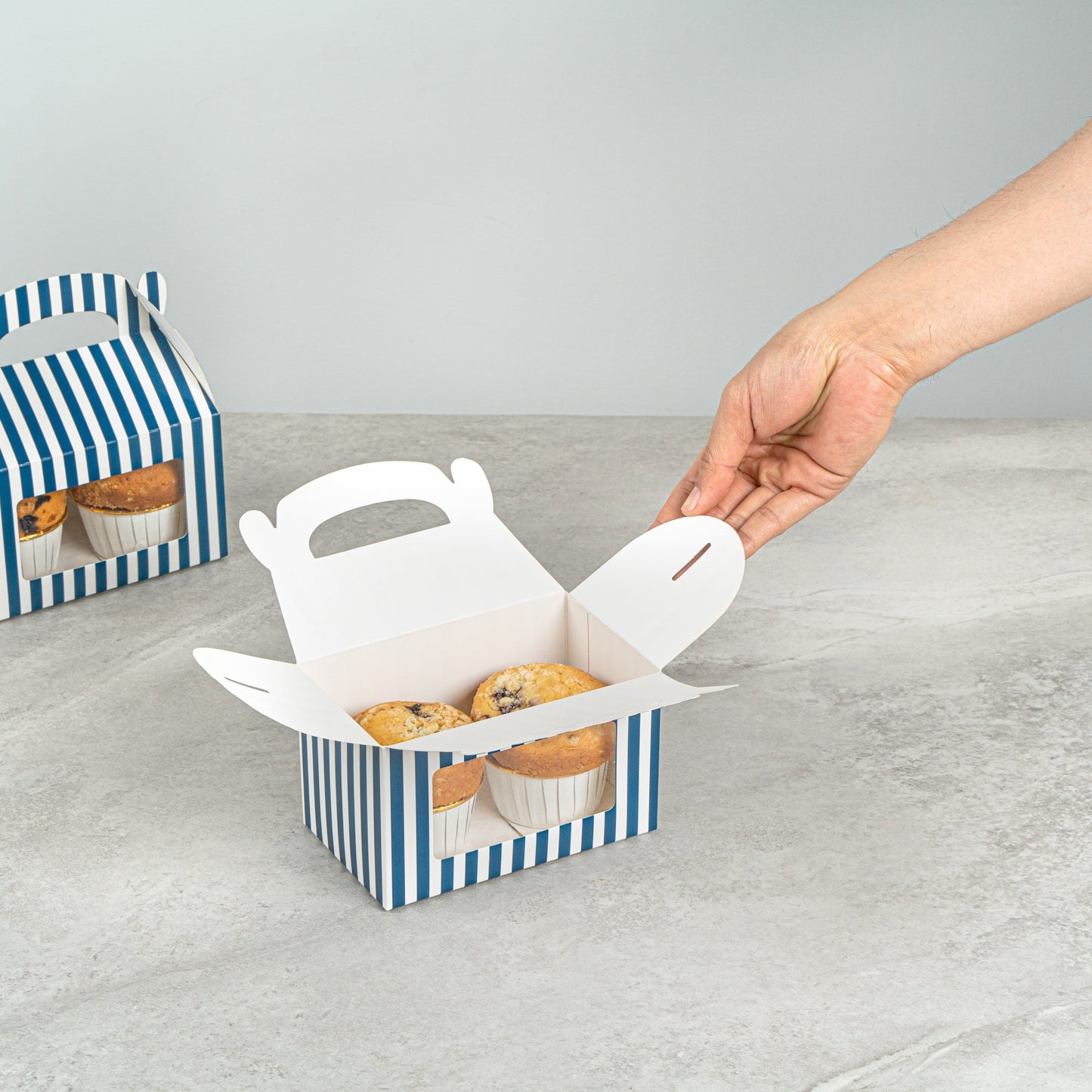 Bio Tek Blue & White Stripe Paper Gable Box / Take Out Container - with Window - 6" x 3 1/2" x 3 1/2" - 100 count box