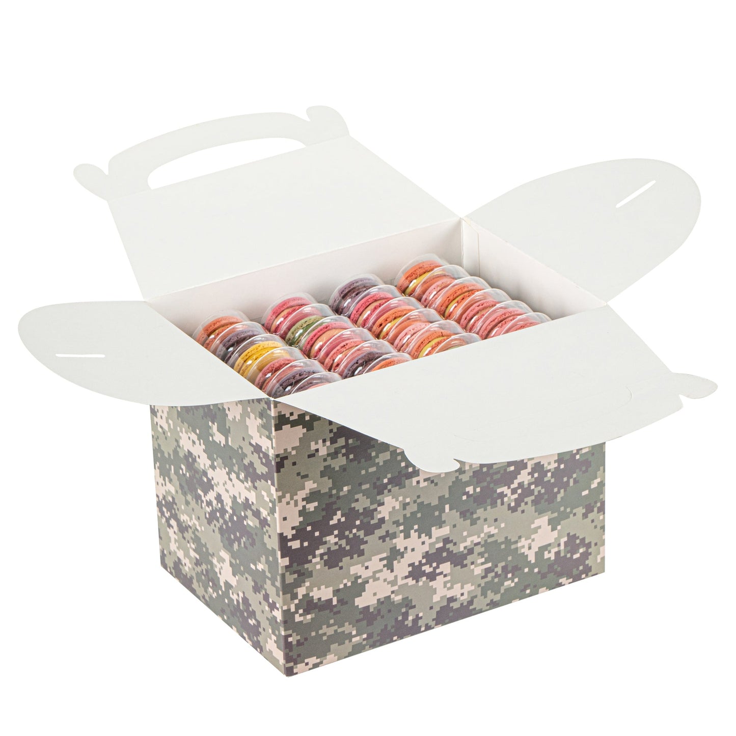 Bio Tek Camouflage Paper Gable Box / Take Out Container - Compostable - 10" x 7" x 8" - 100 count box