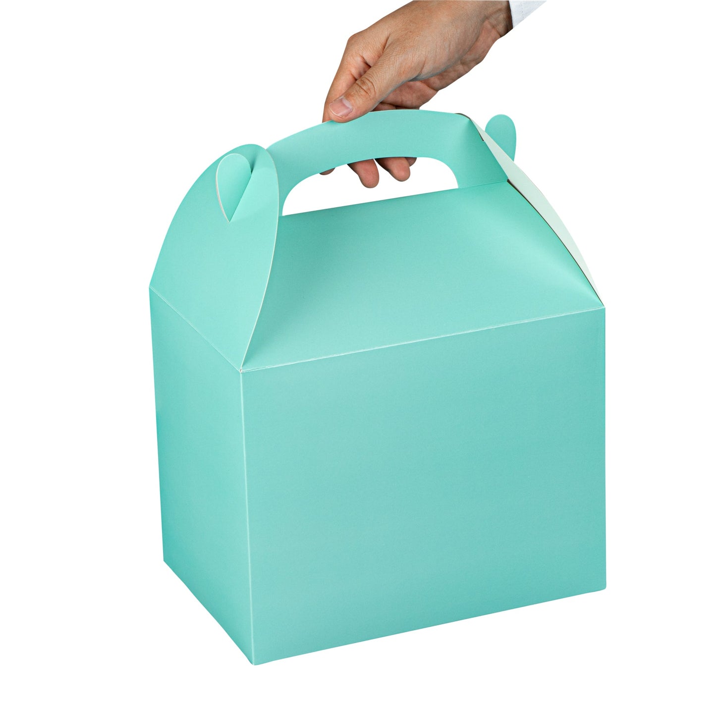 Bio Tek Turquoise Paper Gable Box / Take Out Container - Compostable - 10" x 7" x 8" - 100 count box