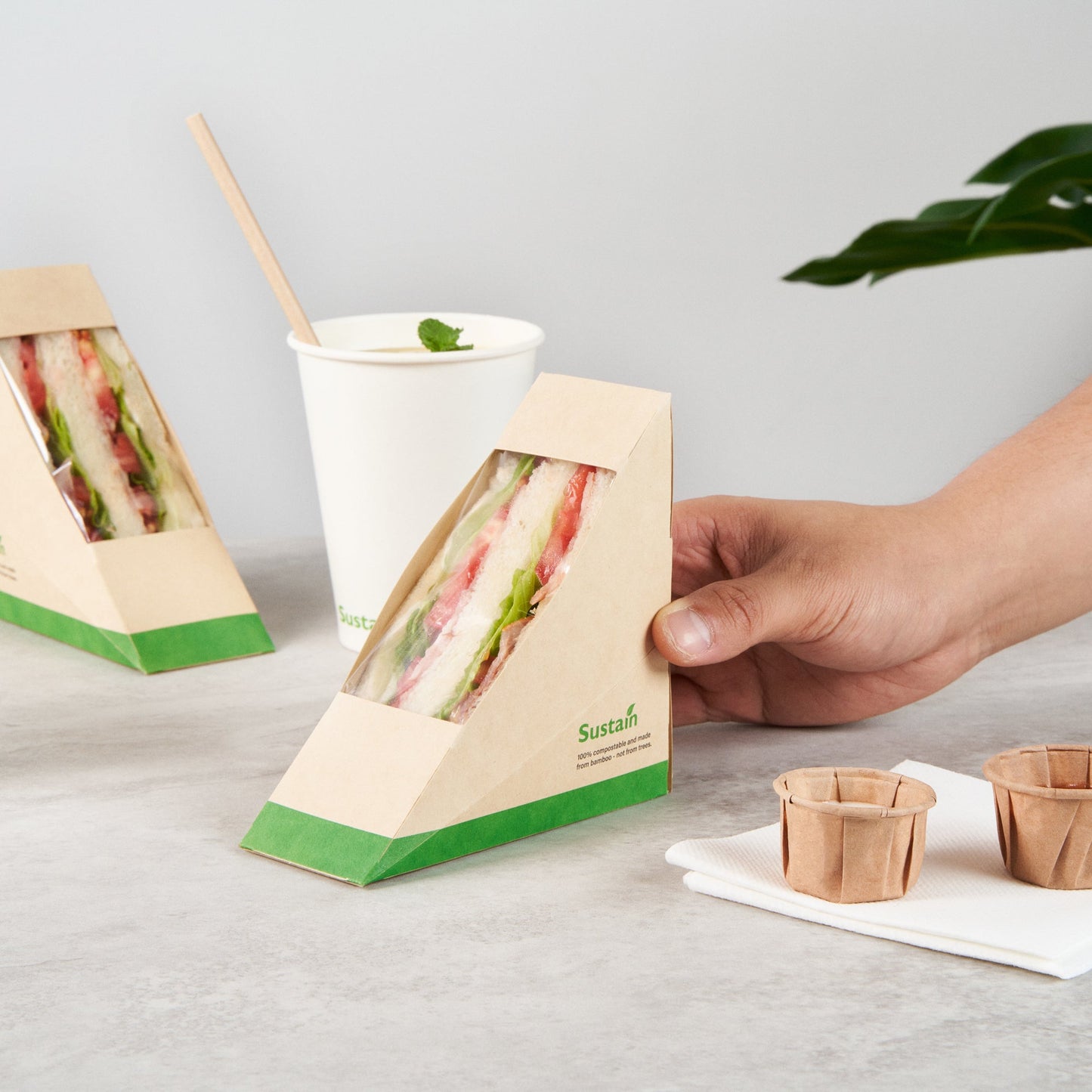 Sustain Bamboo Paper Small Sandwich Box - with PLA Lining and Window, Compostable - 4 3/4" x 4 3/4" x 2" - 200 count box