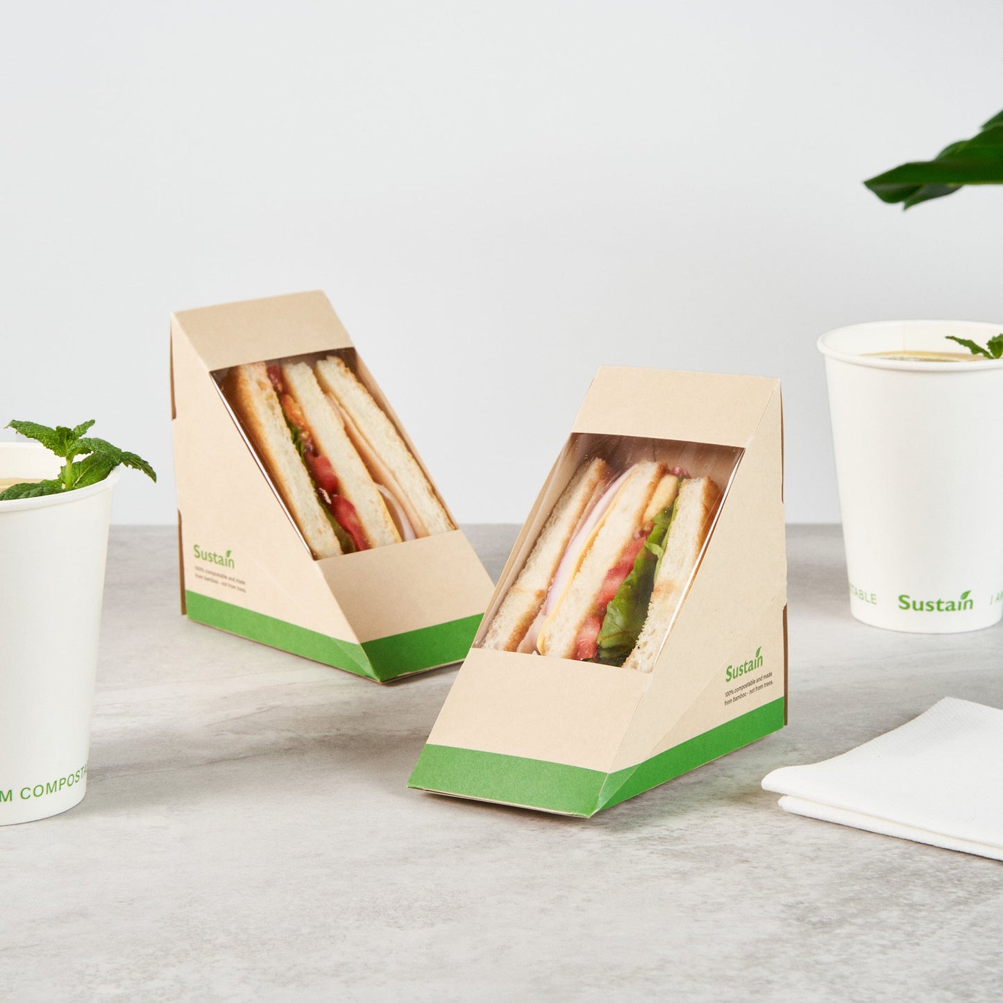 Sustain Bamboo Paper Medium Sandwich Box - with PLA Lining and Window, Compostable - 4 3/4" x 4 3/4" x 2 3/4" - 25 count box