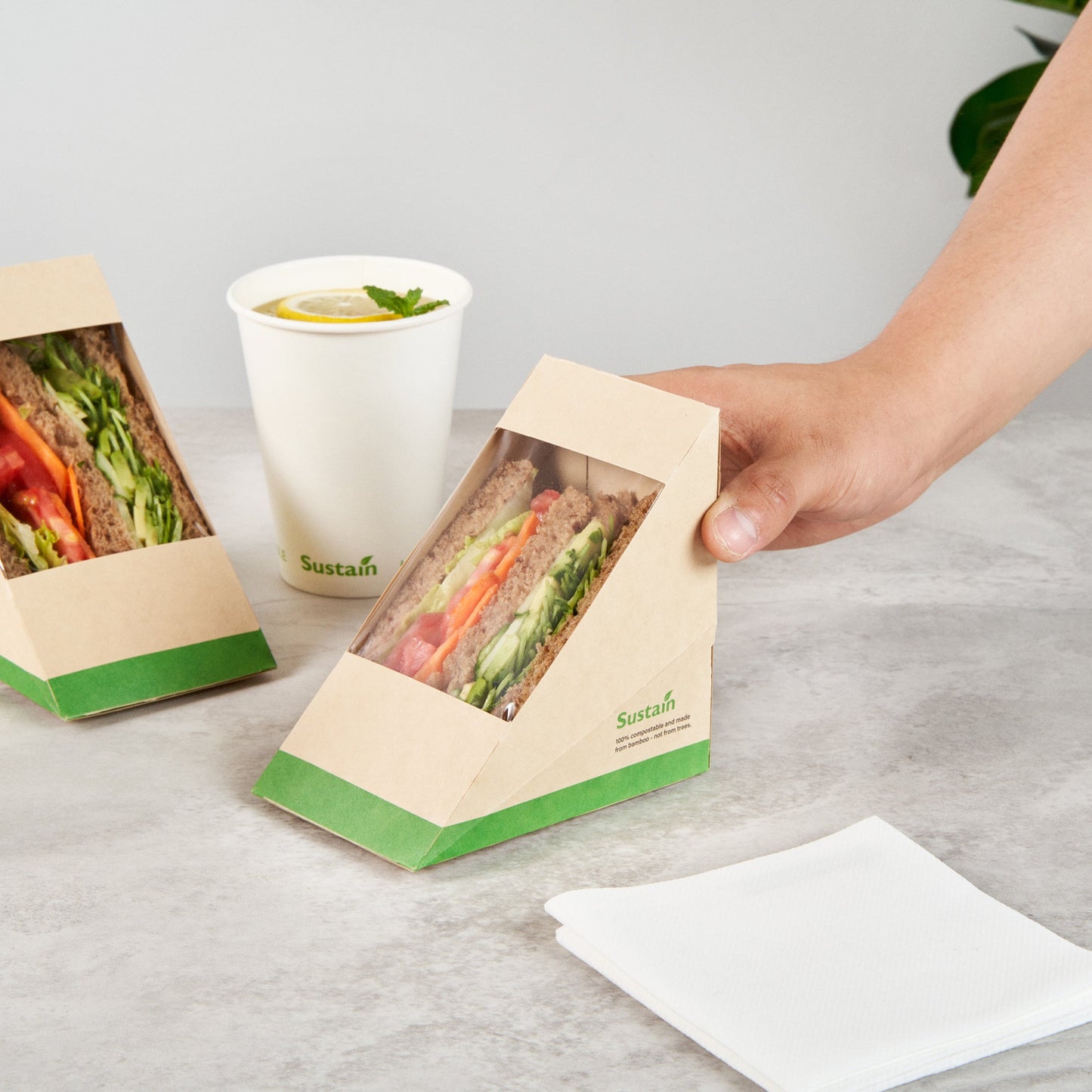 Sustain Bamboo Paper Large Sandwich Box - with PLA Lining and Window, Compostable - 4 3/4" x 4 3/4" x 3 1/4" - 25 count box