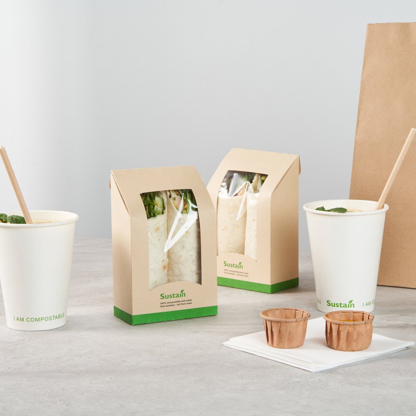 Sustain Bamboo Paper Sandwich / Wrap Take Out Container - with PLA Lining and Window, Compostable - 6" x 3 3/4" x 2" - 50 count box
