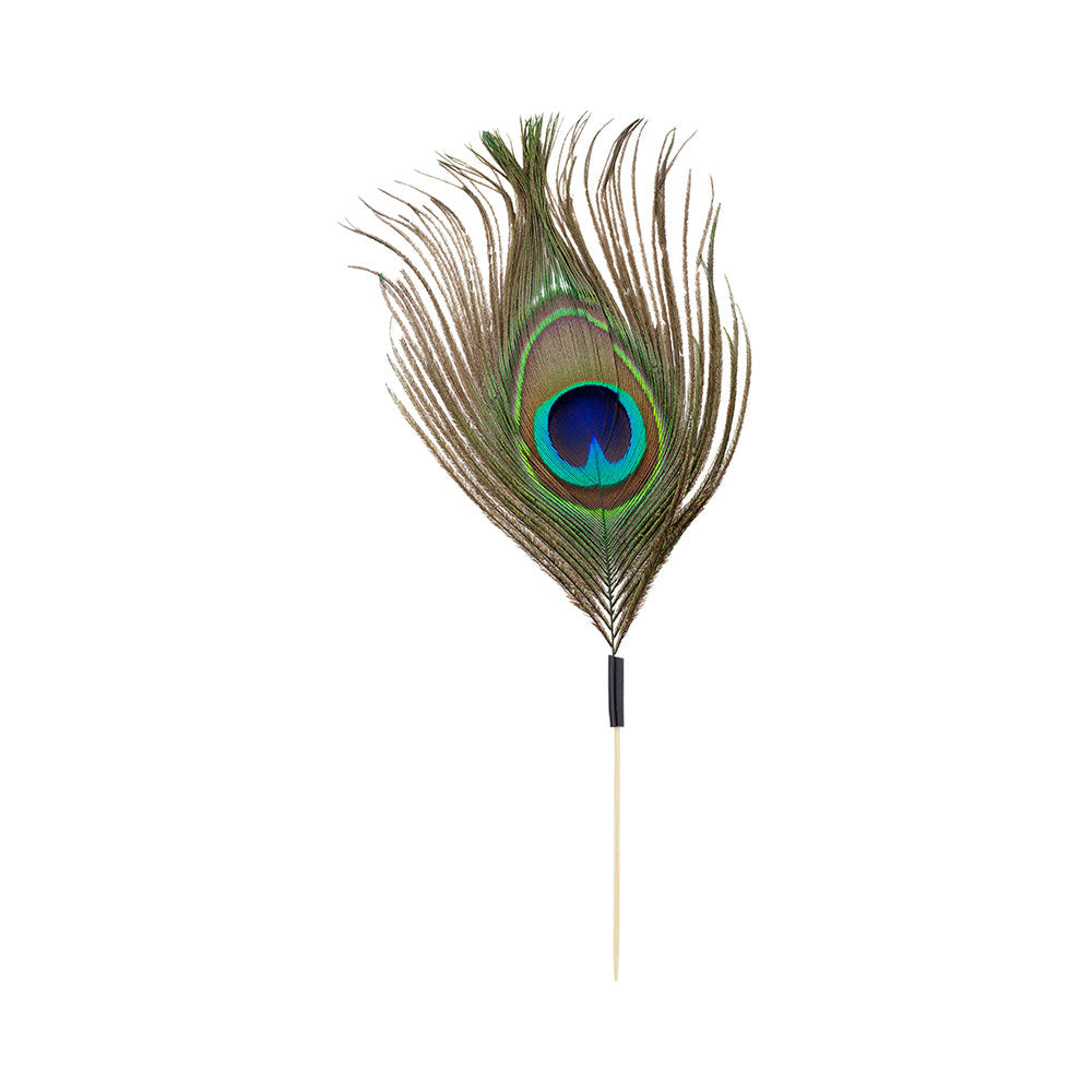 Pixy Natural Bamboo Peacock Eye Skewer - 6" - 500 count box