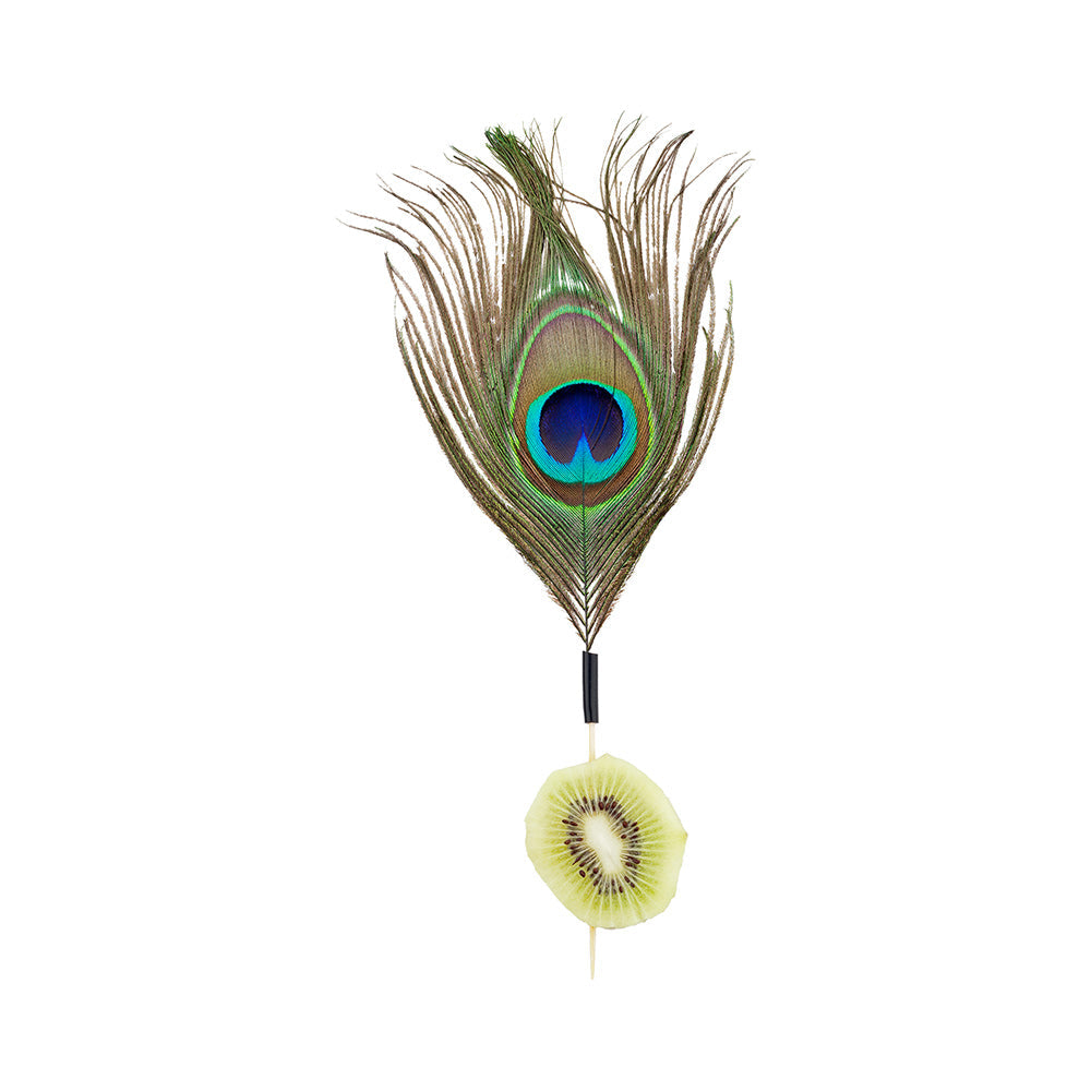 Pixy Natural Bamboo Peacock Eye Skewer - 6" - 500 count box