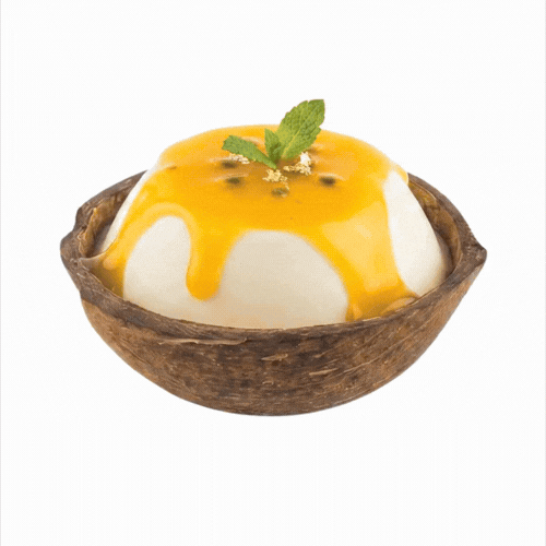 Coco Casa Natural Coconut Shell Bowl - 10 count box