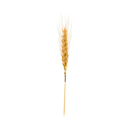 Pixy Natural Wheat Skewer - 6" - 100 count box