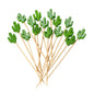Pixy Green Bamboo Cactus Pick - 4 3/4" - 100 count box