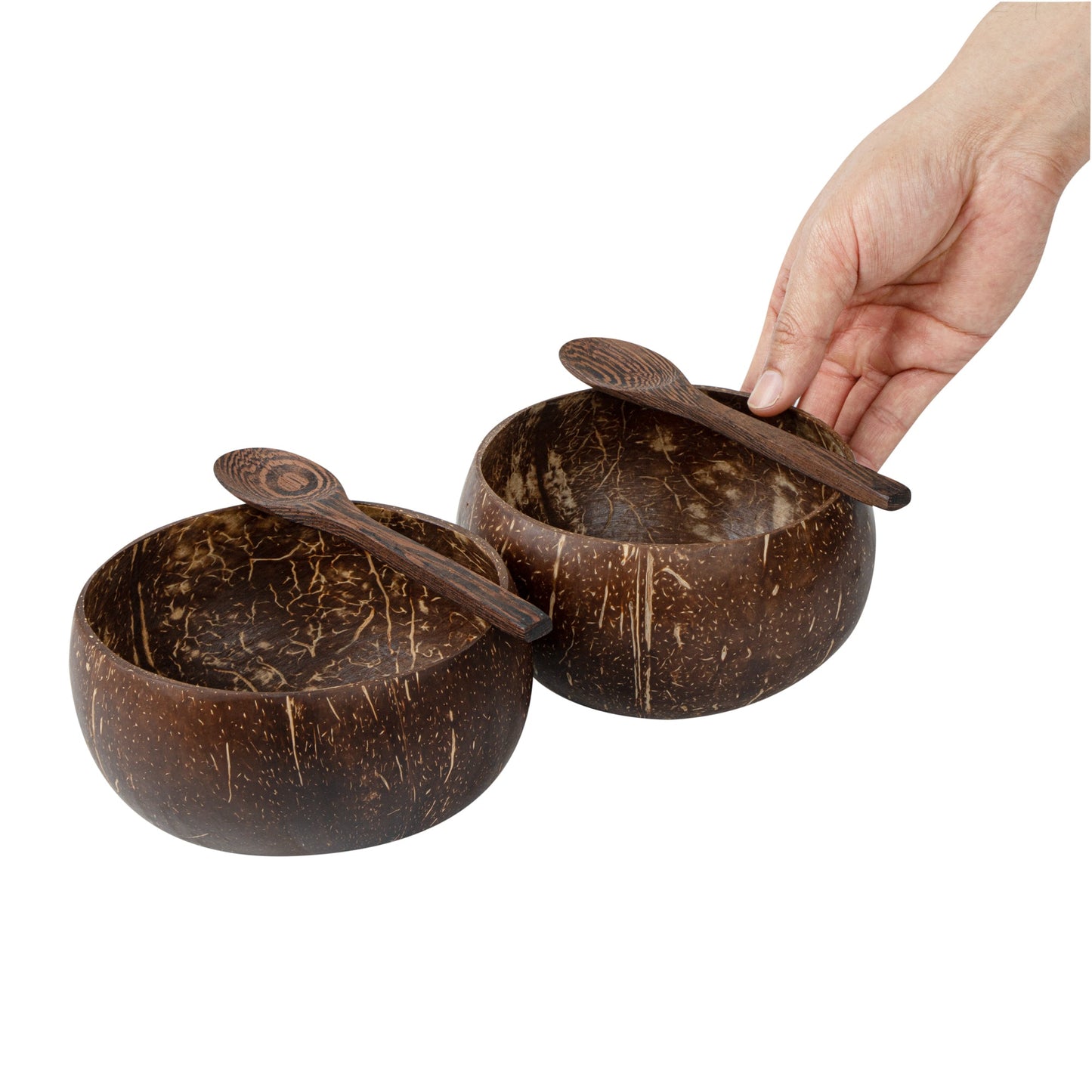 Coco Casa 4-Piece Handmade Coconut Bowl and Wooden Spoon Set - 10 count box