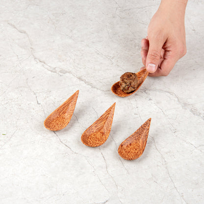 Coco Casa Natural Handmade Teardrop Coconut Spoon - 3 1/4" x 1 1/2" - 4 count box