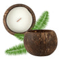Coco Casa Handmade Coconut Shell Candle - Cinnamon - 4" x 4" x 2 3/4" - 1 count box