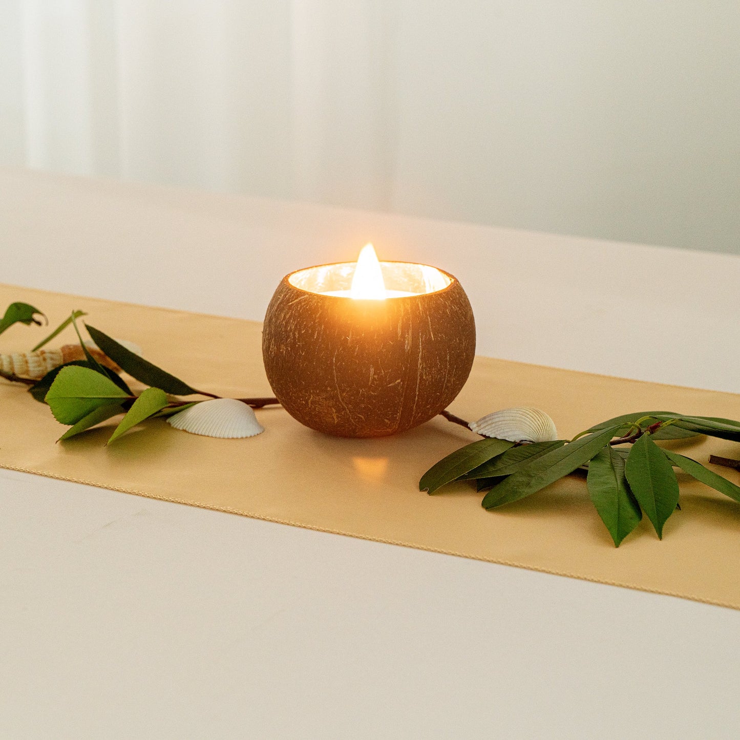 Coco Casa Handmade Coconut Shell Candle - Sandalwood and Shea - 4" x 4" x 2 3/4" - 10 count box