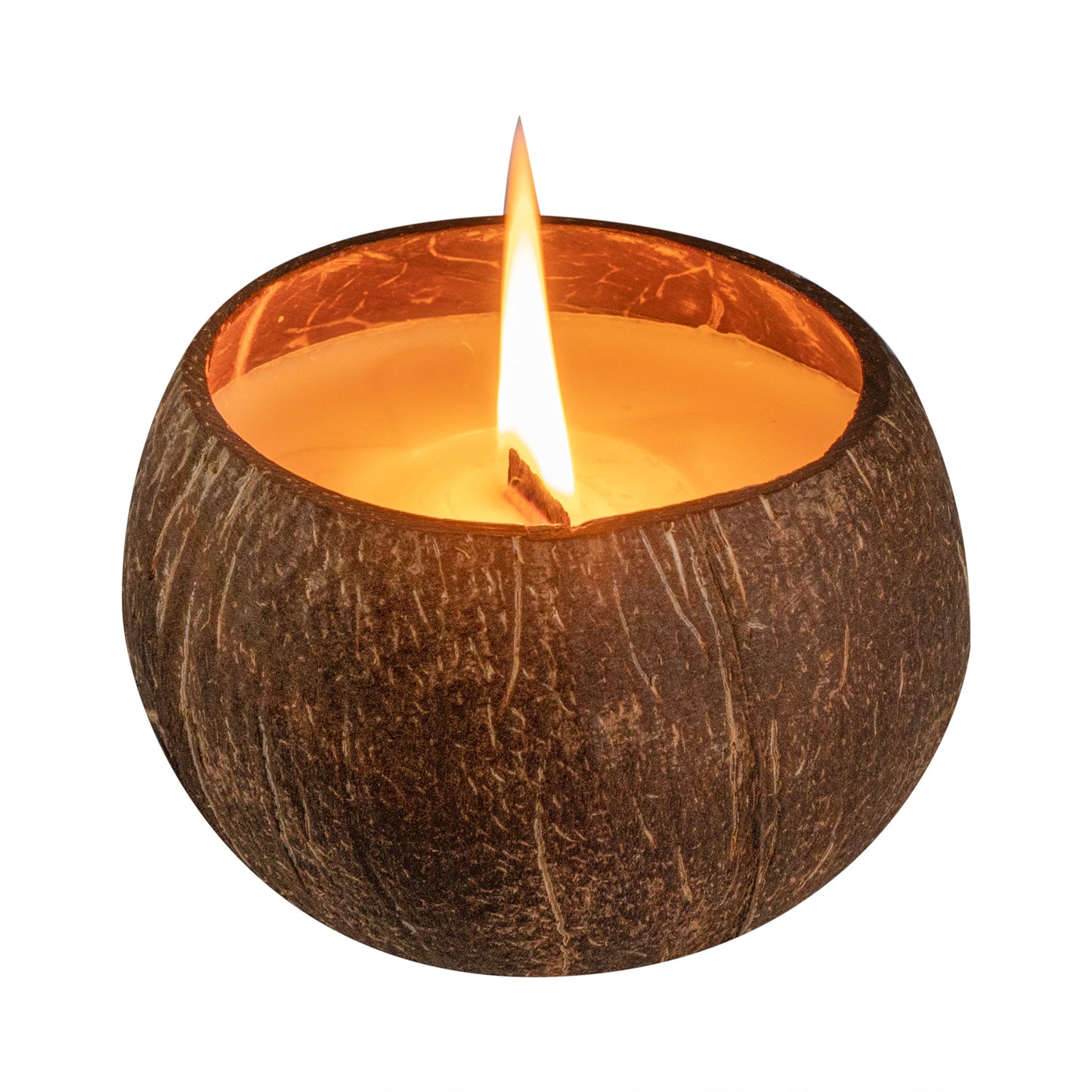 Coco Casa Handmade Coconut Shell Candle - Lavender - 4" x 4" x 2 3/4" - 10 count box