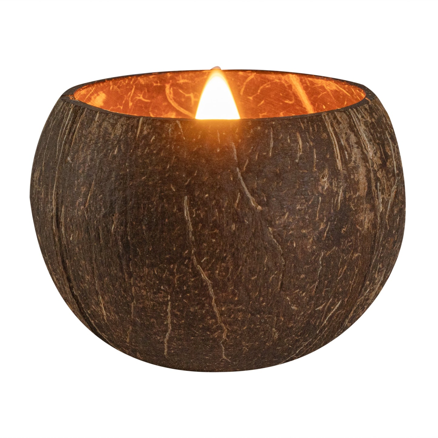 Coco Casa Handmade Coconut Shell Candle - Lavender - 4" x 4" x 2 3/4" - 10 count box