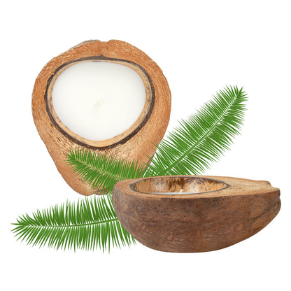 Coco Casa Handmade Coconut Shell Husk Candle - Lavender - 6 1/2" x 6 1/2" x 2 1/2" - 1 count box