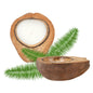 Coco Casa Handmade Coconut Shell Husk Candle - Lavender - 6 1/2" x 6 1/2" x 2 1/2" - 1 count box