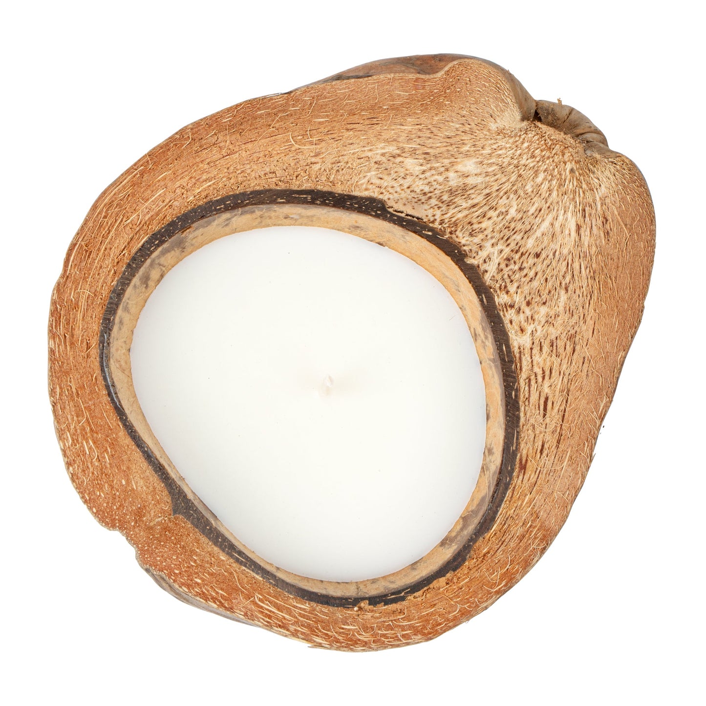 Coco Casa Handmade Coconut Shell Husk Candle - Mint Leaf and Eucalyptus - 6 1/2" x 6 1/2" x 2 1/2" - 10 count box