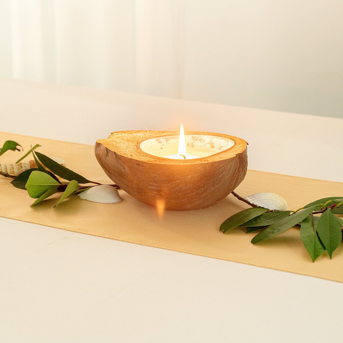 Coco Casa Handmade Coconut Shell Husk Candle - Sandalwood and Shea - 6 1/2" x 6 1/2" x 2 1/2" - 10 count box