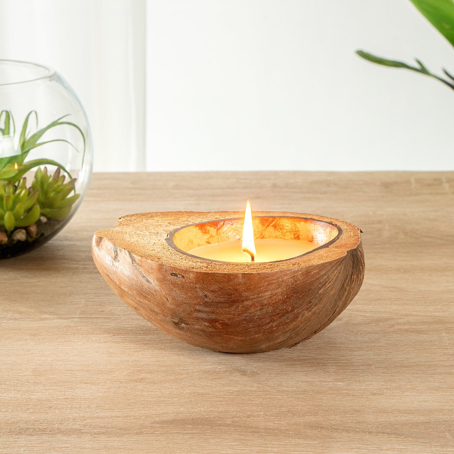 Coco Casa Handmade Coconut Shell Husk Candle - Cinnamon - 6 1/2" x 6 1/2" x 2 1/2" - 1 count box