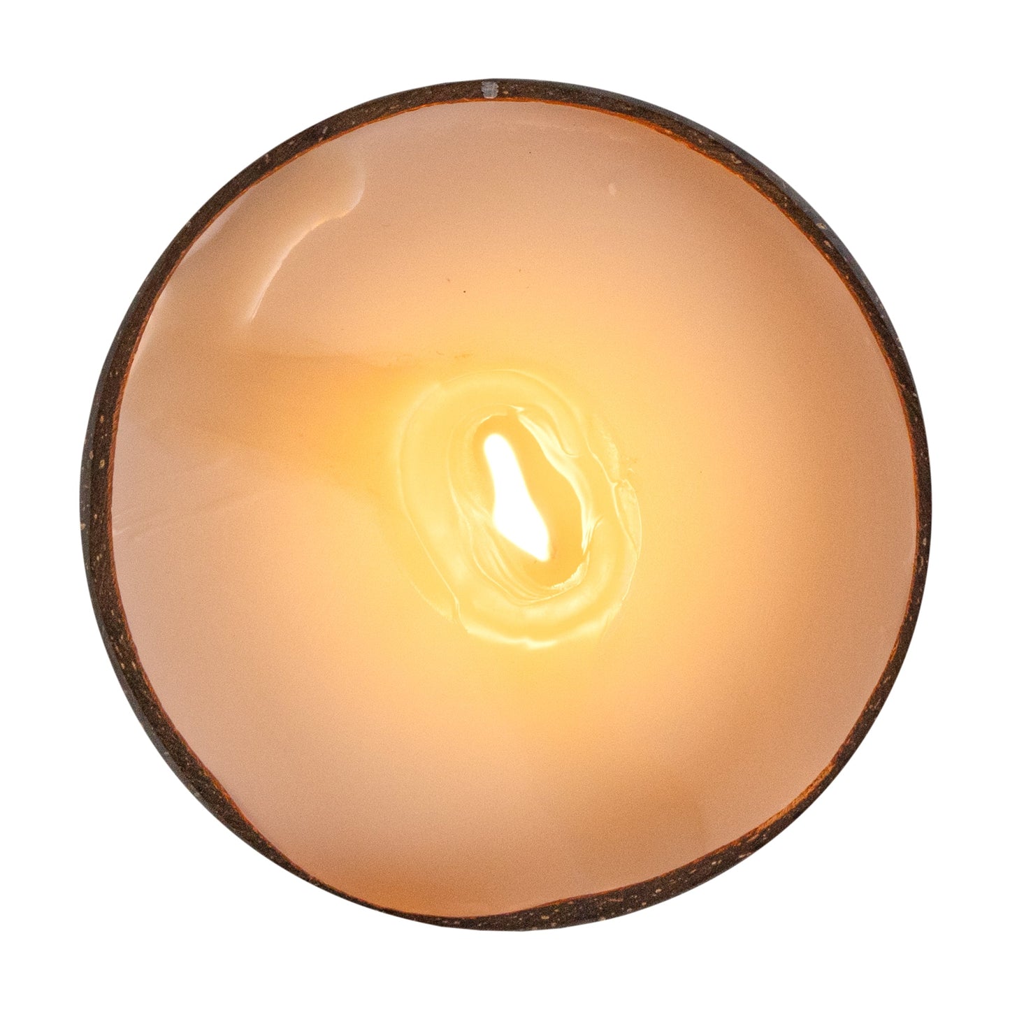 Coco Casa Handmade Coconut Candle Bowl - Jasmine - 4" x 4" x 2 3/4" - 10 count box