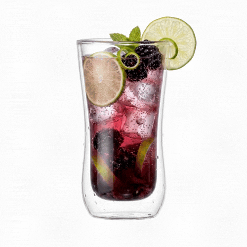 Forma Professional 10 oz Round Glass Beverage Glass - Double Wall - 3" x 3" x 5 3/4" - 10 count box