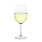 Cascata 11 oz White Wine Glass - All-Purpose - 3" x 3" x 7 3/4" - 6 count box