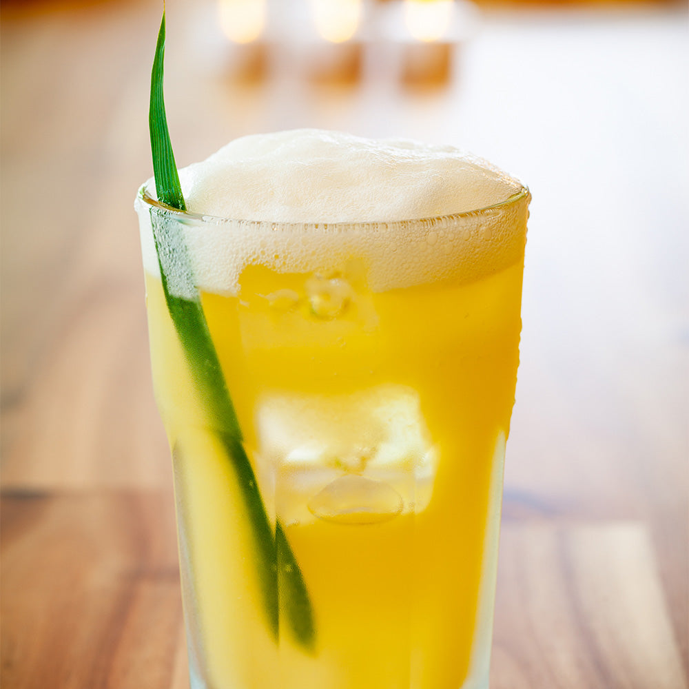 Otto 10 oz Highball Glass - 3" x 3" x 4 3/4" - 12 count box