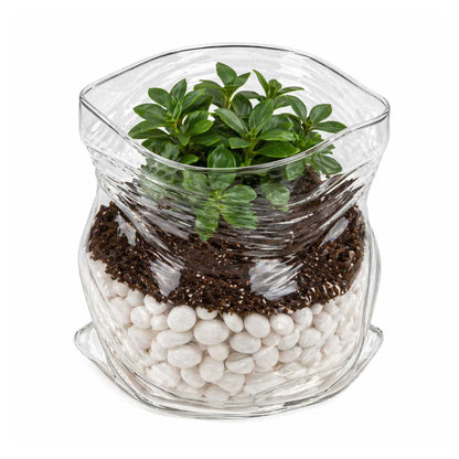 Vetri 22 oz Round Clear Glass Unzipped Bag Bowl - 4 3/4" x 4" x 4 1/2" - 1 count box