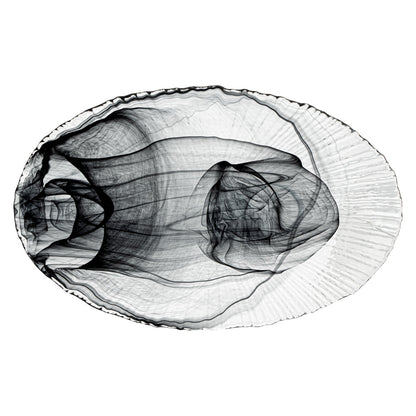 Vetri Oval Black Glass Focus Serving Plate - 15" x 9 3/4" x 1 1/4" - 6 count box