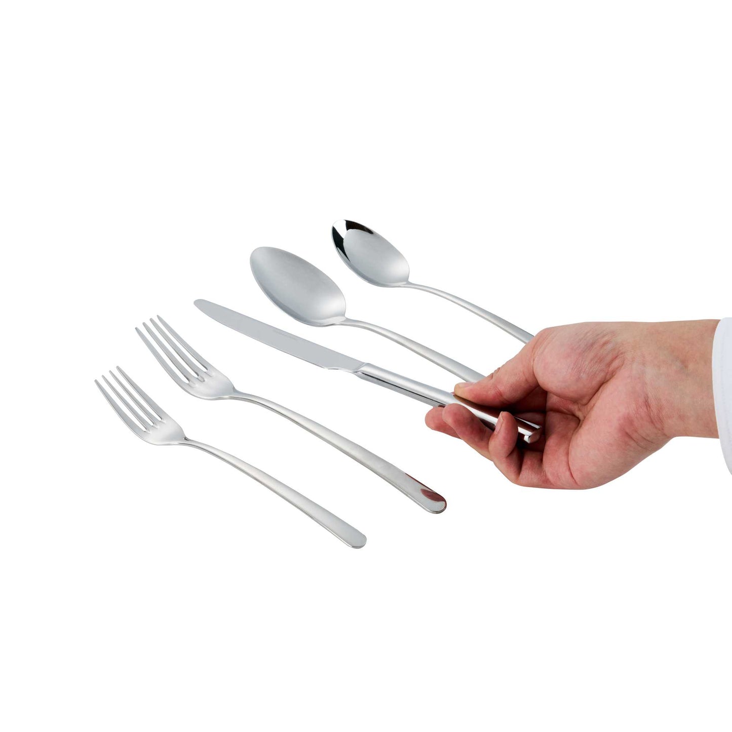 Speculo 18/10 Stainless Steel Flatware Set - with Service for 2 - 10 count box