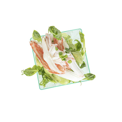 Mini Serve 2 oz Square Seagreen Plastic Mini Kova Cup - 2" x 2" x 1 3/4" - 100 count box