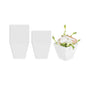 Mini Serve 2 oz Square White Plastic Mini Kova Cup - 2" x 2" x 1 3/4" - 100 count box