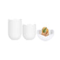 Mini Serve 2 oz Round White Plastic Le Fleur Cup - 2 1/4" x 1 1/2" x 1 1/4" - 100 count box