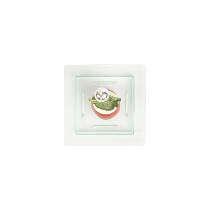 Mini Serve Square Seagreen Plastic Mini Edge Plate - 2 3/4" x 2 3/4" - 100 count box