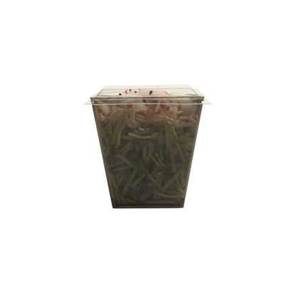 Mini Serve Square Clear Plastic Lid - Fits Large Kova Cup - 100 count box
