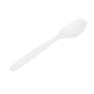 Basic Nature White PLA Plastic Spoon - Compostable - 6 1/4" x 1 1/4" x 1/2" - 250 count box