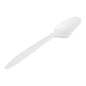 Basic Nature White CPLA Plastic Dessert Spoon - Compostable - 5" - 500 count box