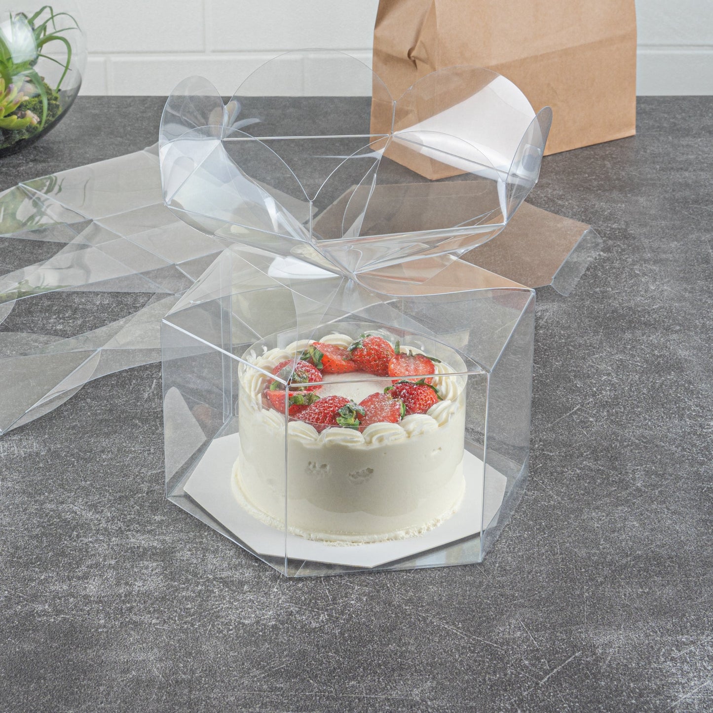 Sweet Vision Clear Plastic Gift Box - Flower Top - 6 1/2" x 7 1/2" x 7 3/4" - 100 count box